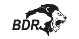 BDR company logo