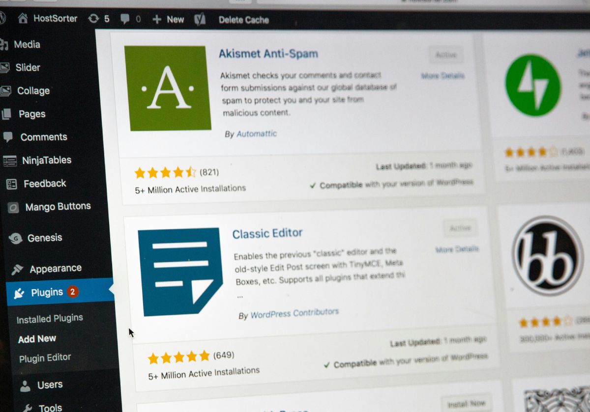 wordPress websit plugin