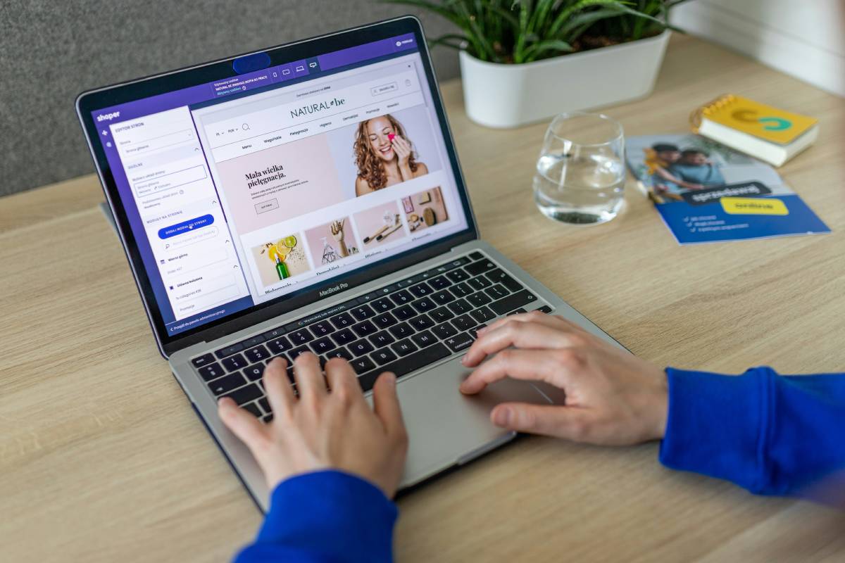 ecommerce seo consultant